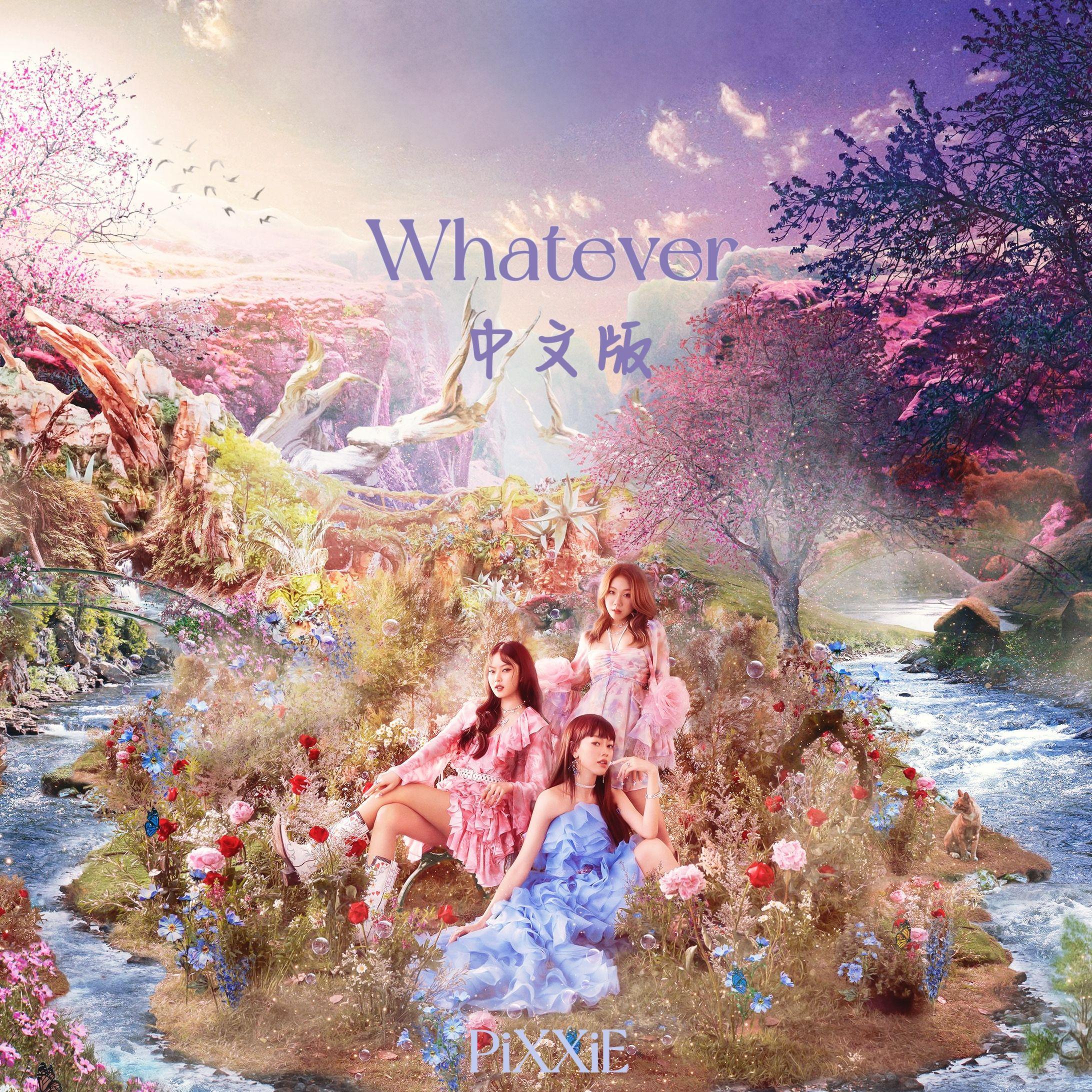 ไม่ได้ก็ไม่เอา Whatever(中文版)