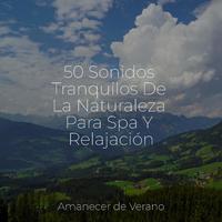 50 Sonidos Tranquilos De La Naturaleza Para Spa Y Relajación