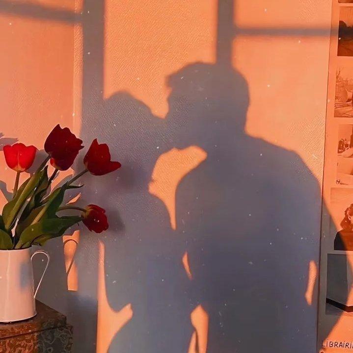 小众｜安静温柔的英文歌