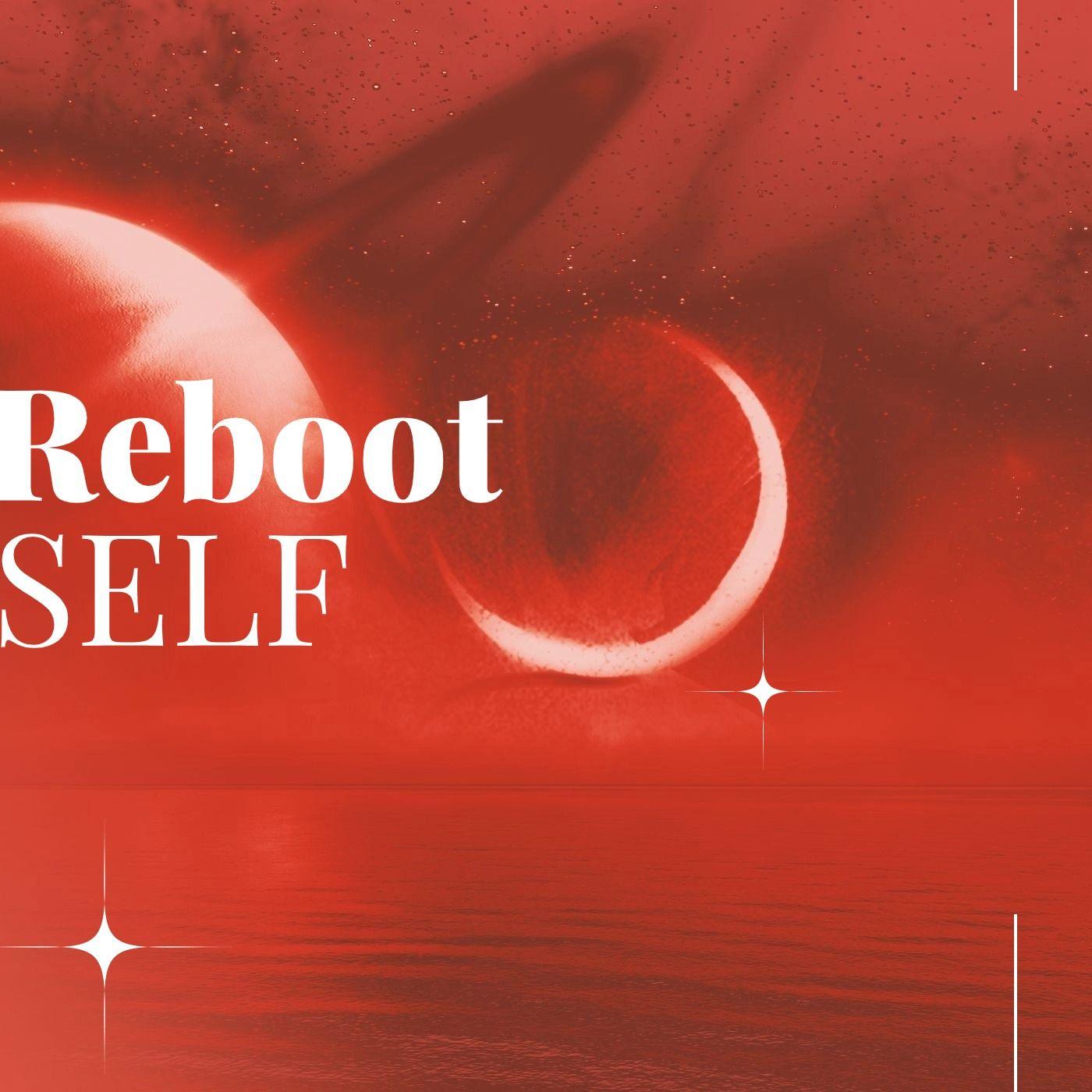 猛然的自我（Reboot SELF）封面