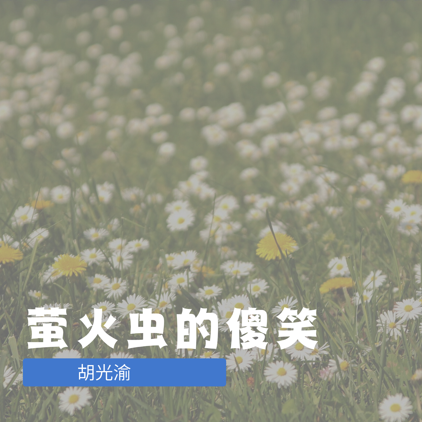 萤火虫的傻笑 伴奏封面
