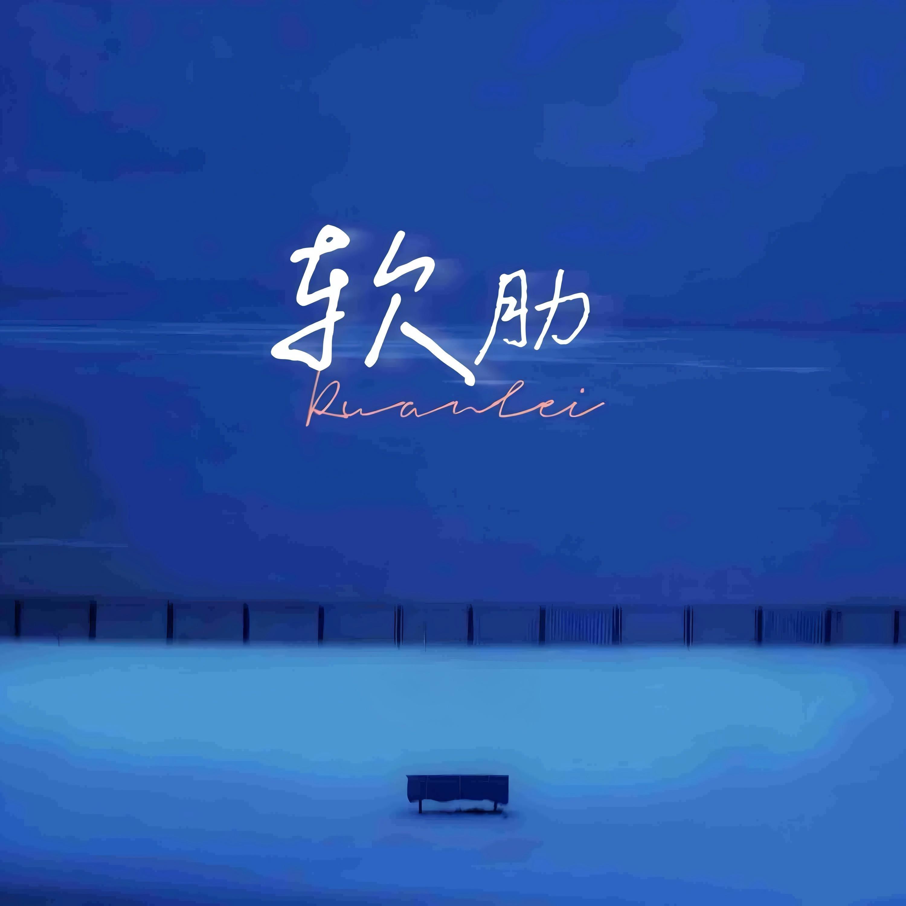 软肋（伴奏）封面