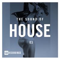 The Sound Of House, Vol. 03