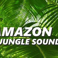 Amazon Jungle Sounds