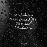 50 Calming Rain Sounds for Pure and Meditation