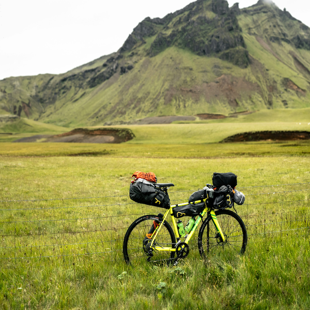 1晴晴风舞秋叶飘零