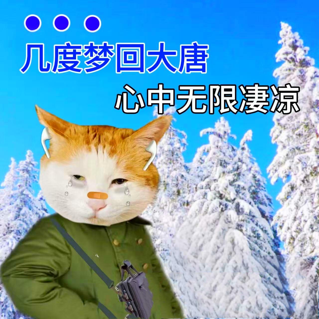 几度梦回大唐封面