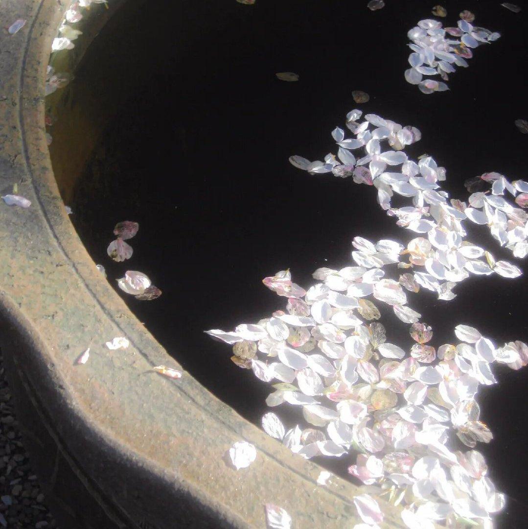 不止R&B/rap/暧昧又自由/浪漫是一种感觉