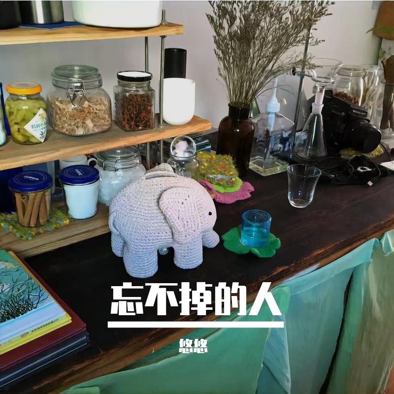 爱在记忆中找你封面
