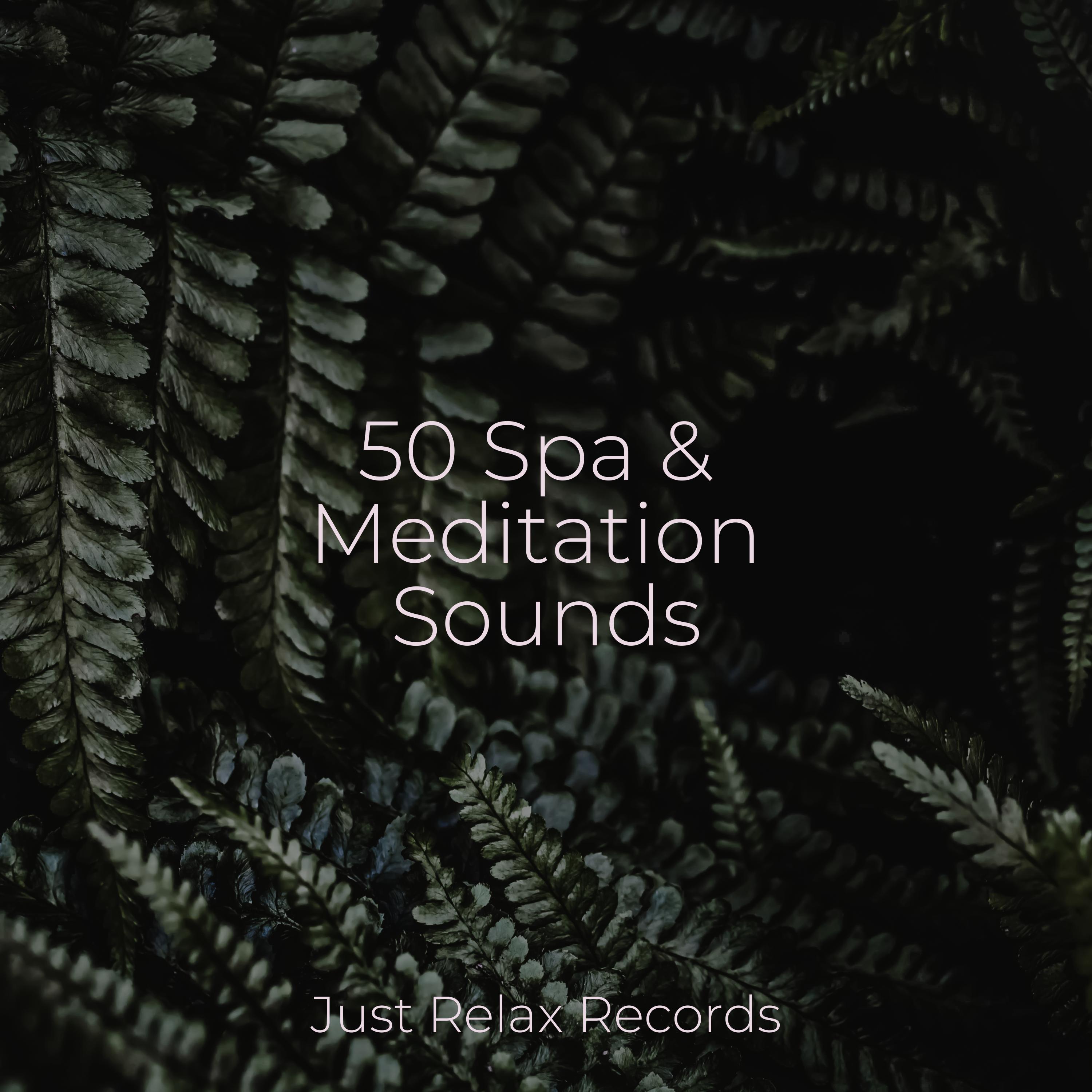 Silent Footsteps in Empty Rooms Musica romantica instrumental/Música