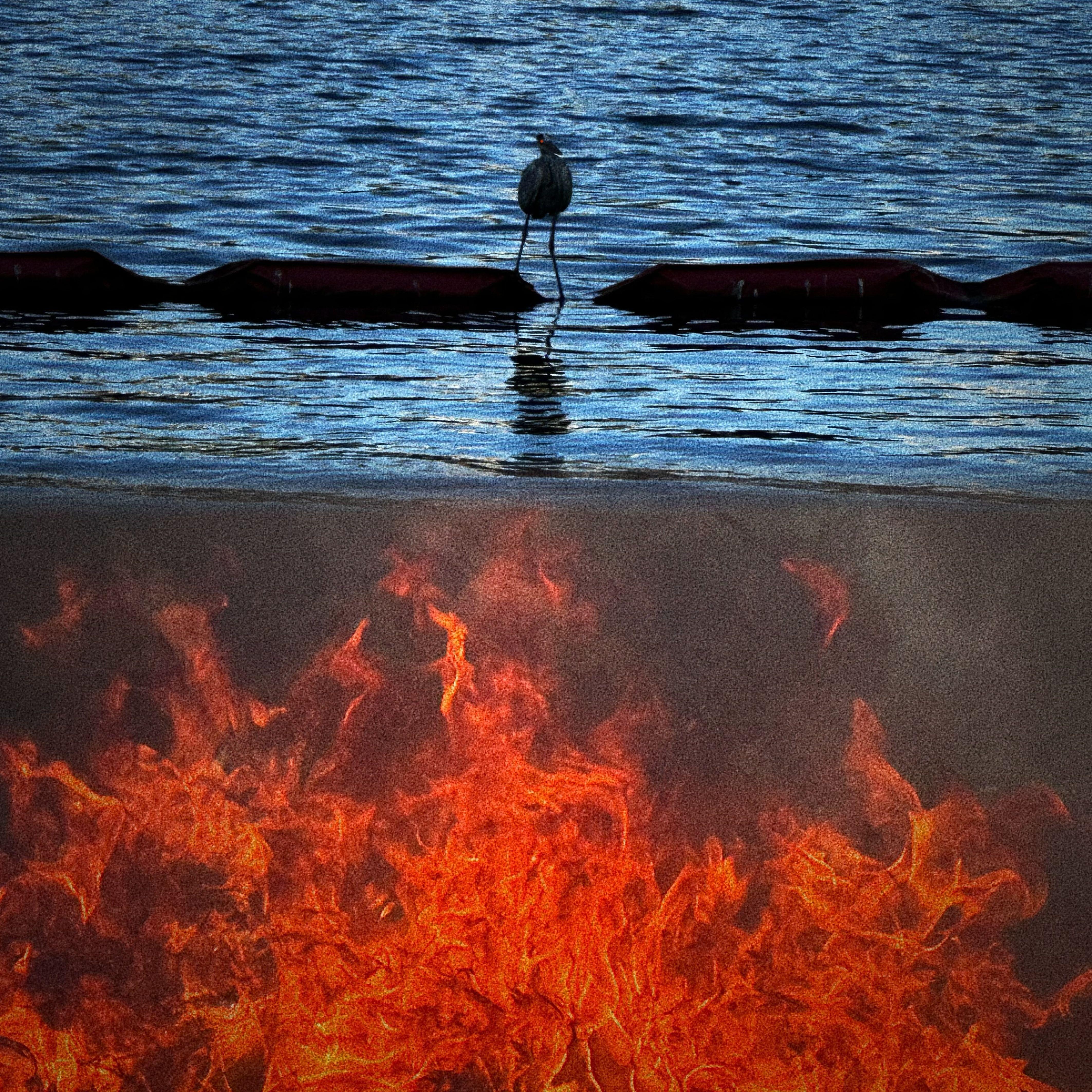 what is that mean freestyle（demo）