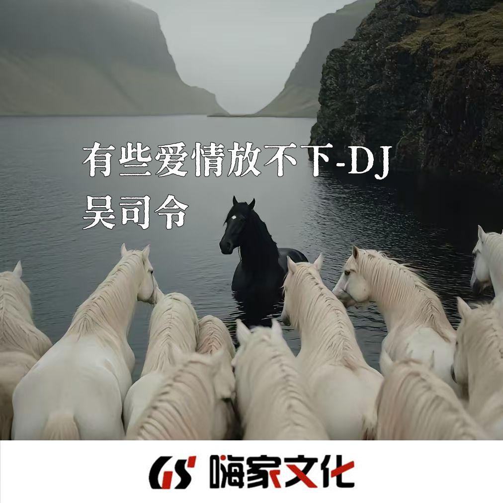 有些爱情放不下（0.8x） - 吴司令封面