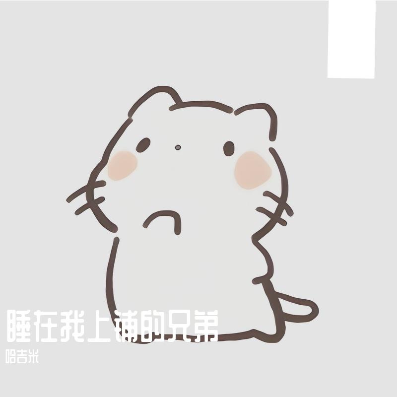 董小姐封面