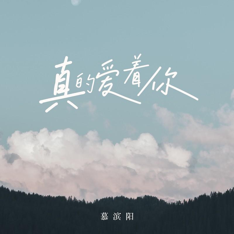 真的爱着你 (国语版伴奏)封面