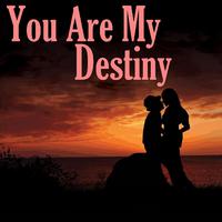 You Are My Destiny