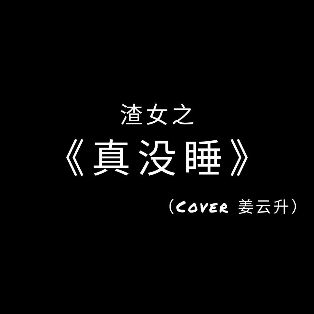 真没睡封面