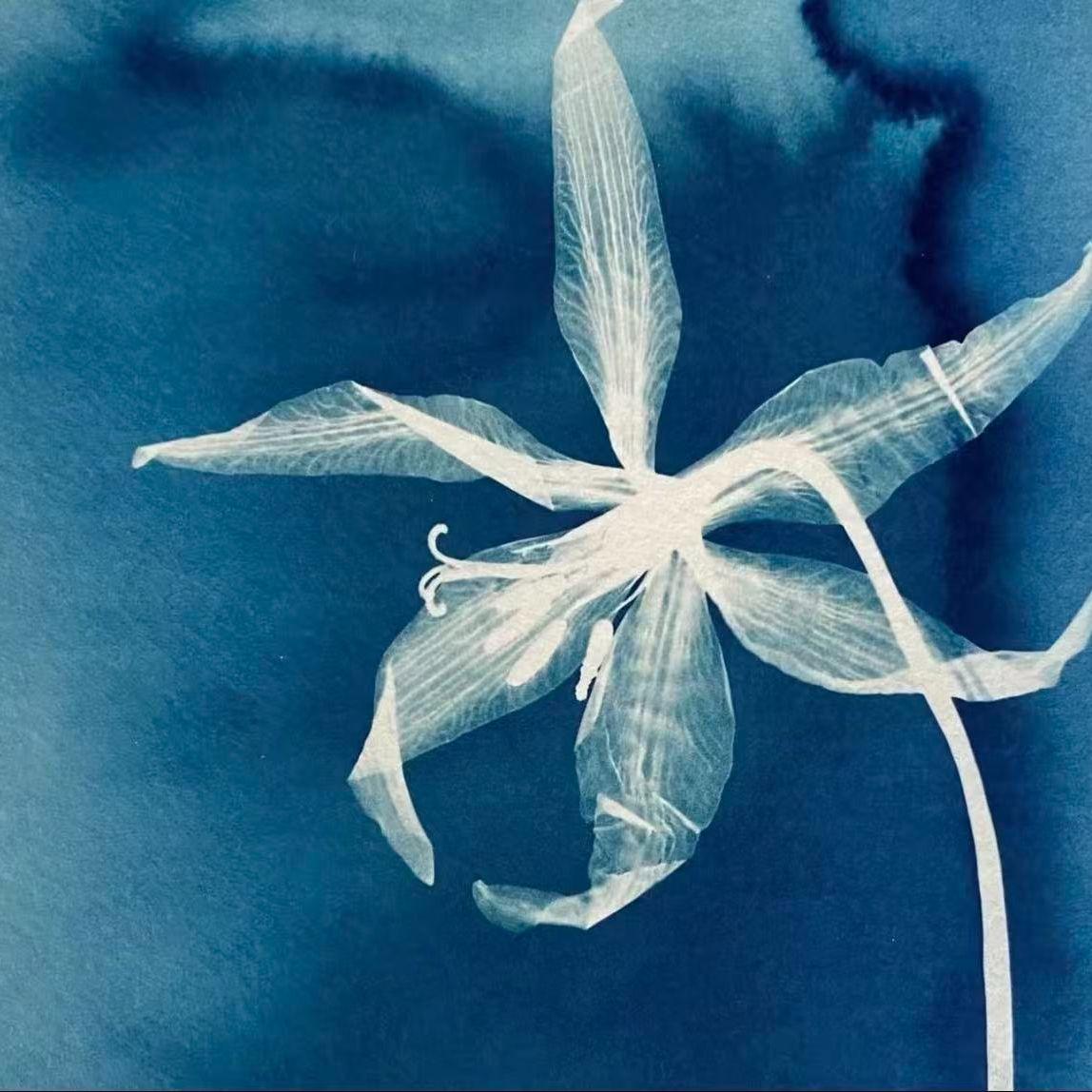 凯迪拉克进行曲（DJ版）