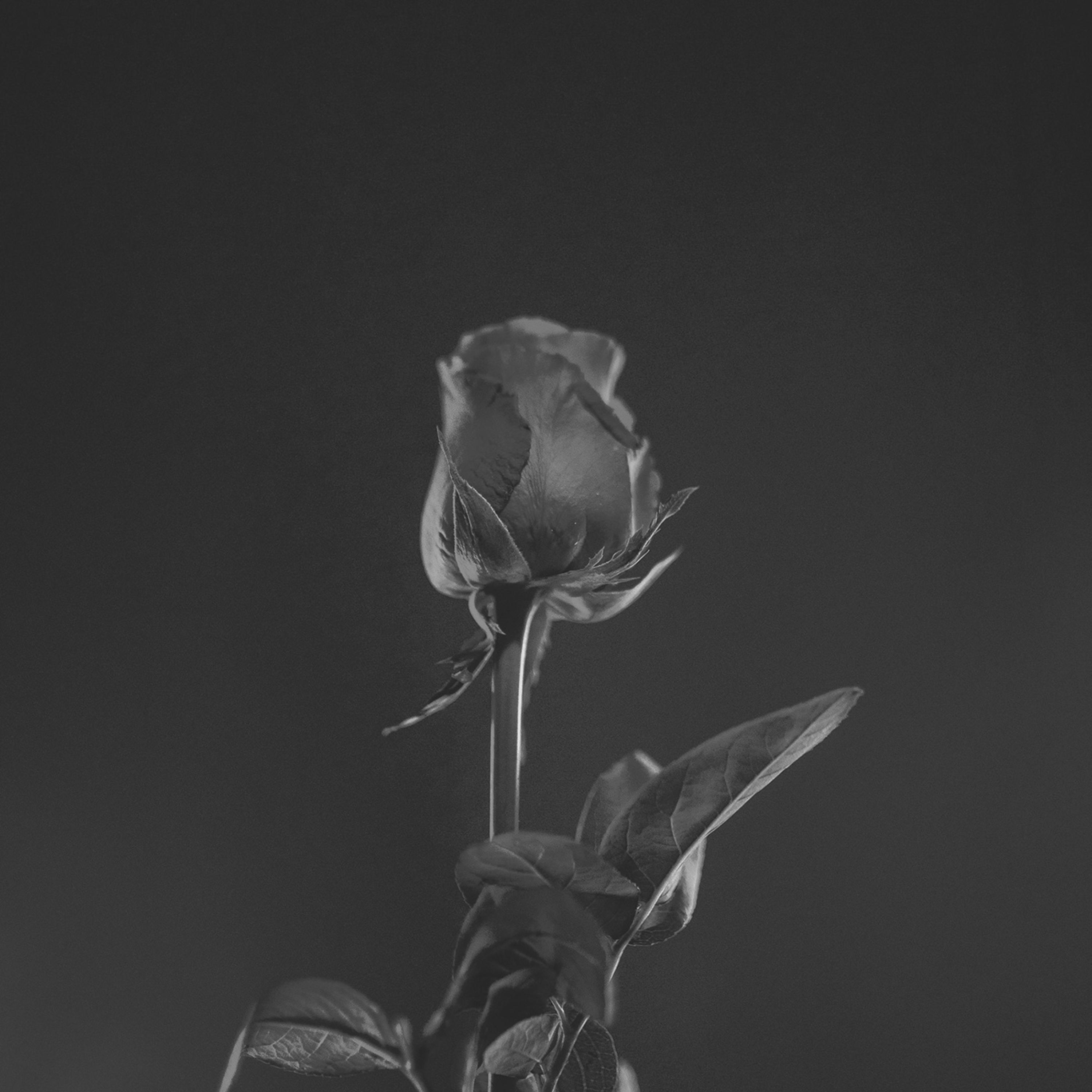 A Long Time (feat. Park G)