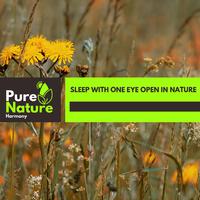 Sleep With One Eye Open in Nature