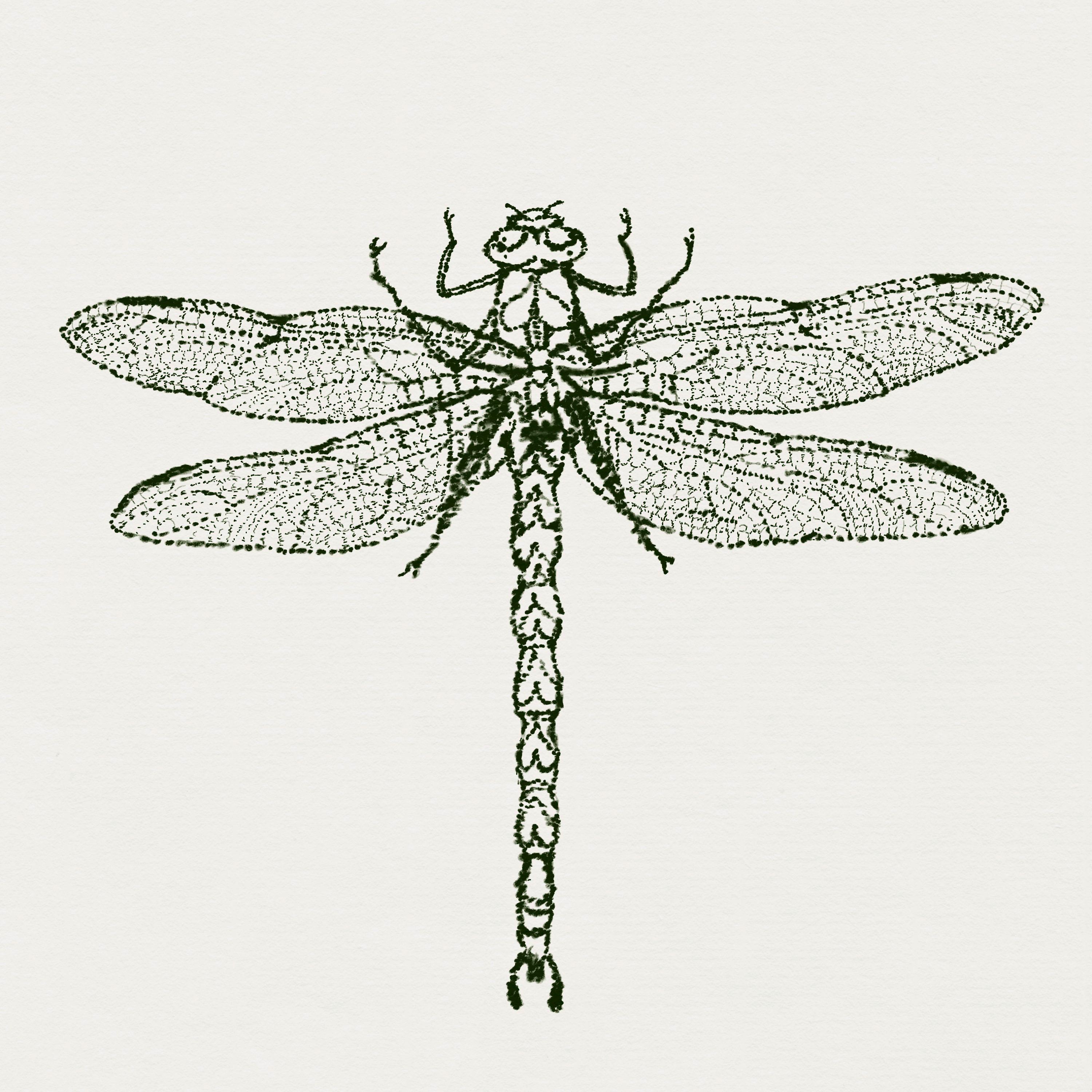 Dragonfly