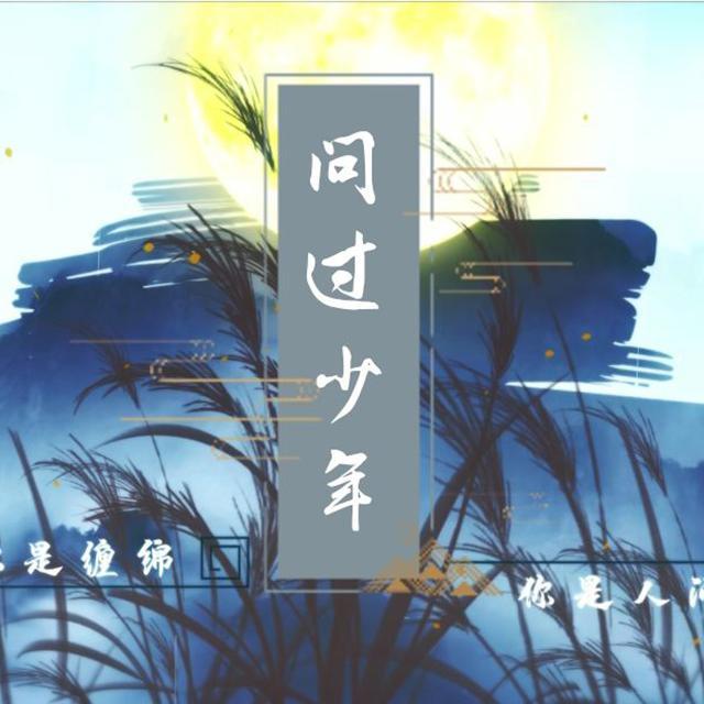 问过少年封面