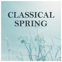 Classical Spring