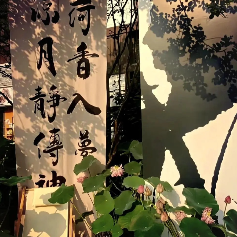 小众古风系列：竹林与琴音