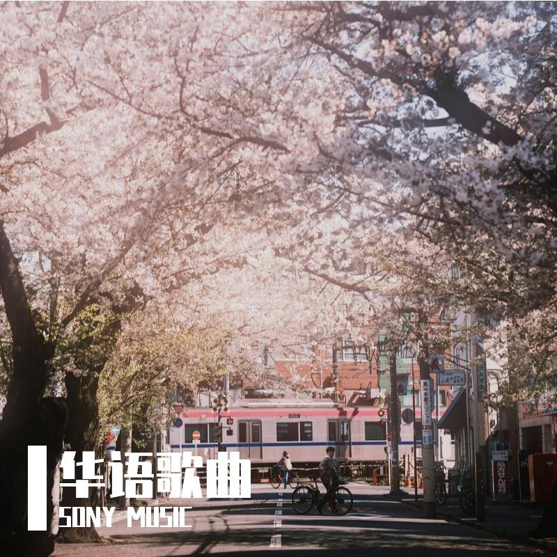 好春光 郑州小学生 治愈版封面