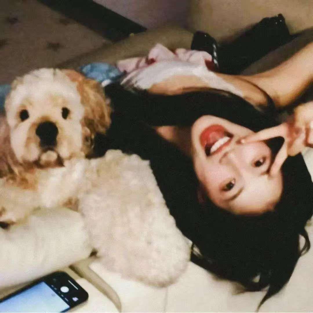 Rovert Plaen(阴天氛围版)