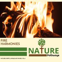 Fire Harmonies - Nature Chirps, Jungle and Waves, Vol.5