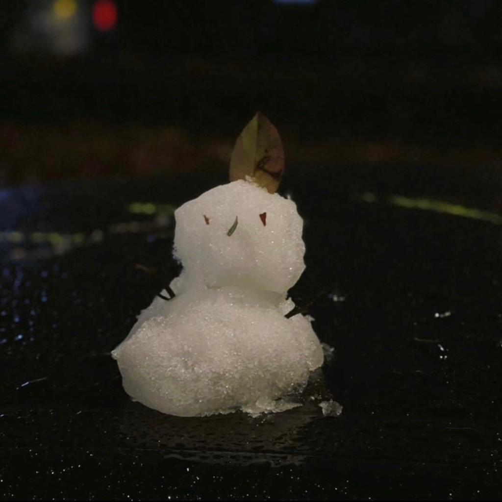 COPING THE MASTERS/2023