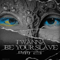 I WANNA BE YOUR SLAVE