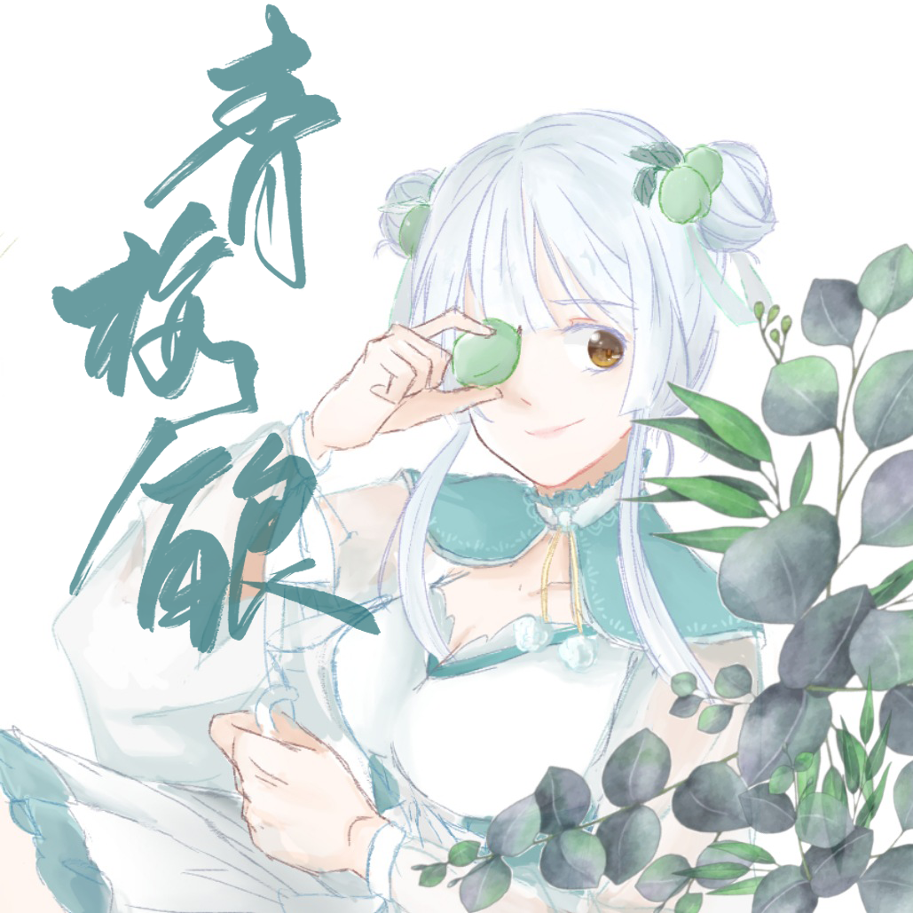 青梅酿（伴奏）封面