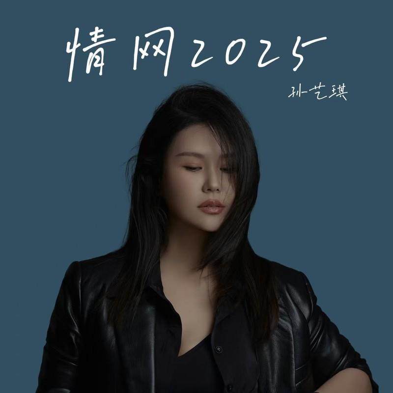情网2025 (DJ默涵版) - 孙艺琪封面
