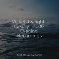 Velvet Twilight: Luxury In 100 Evening Recordings