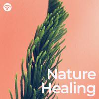 Nature Healing: Therapeutic Melodies