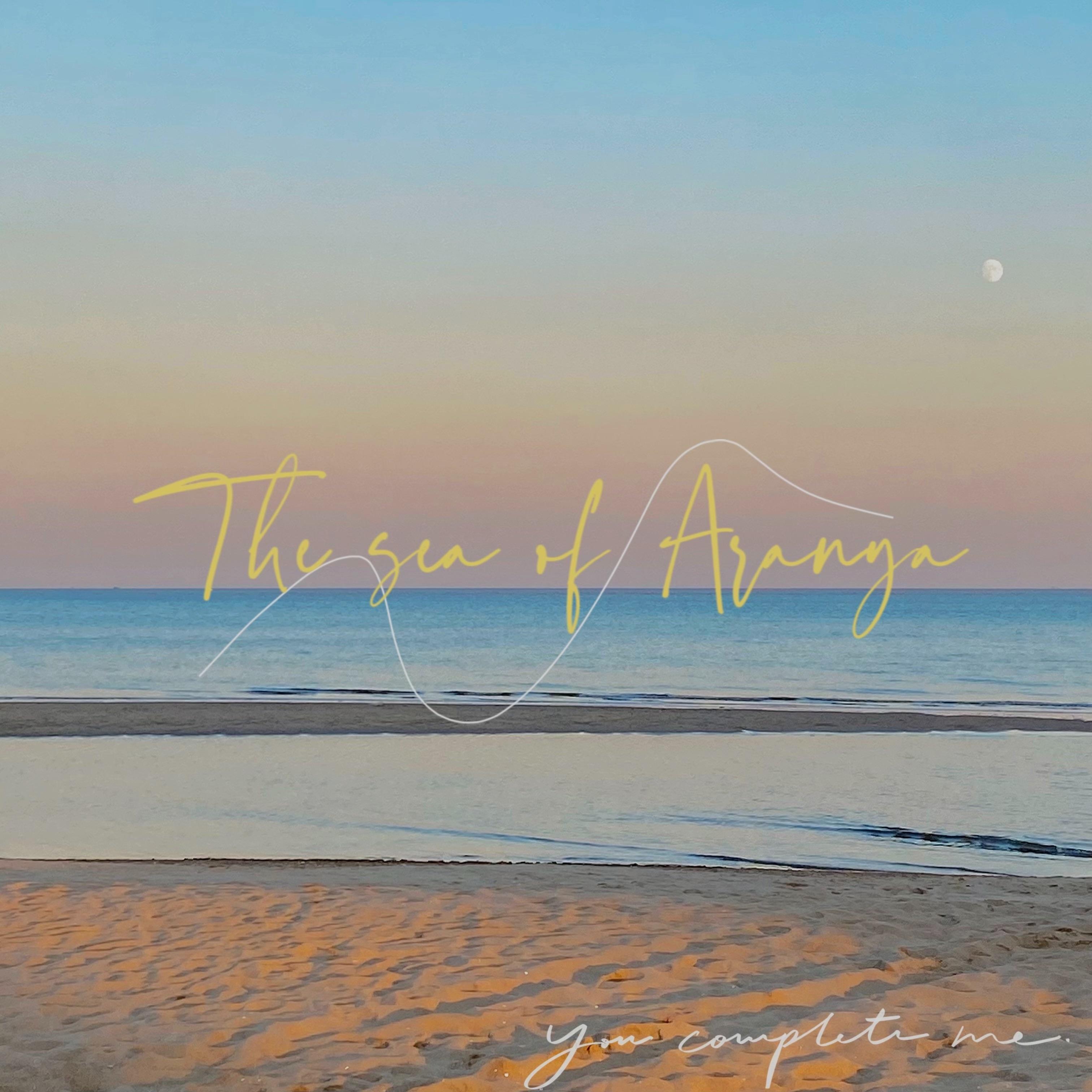 阿那亚的海（The sea of Aranya)封面