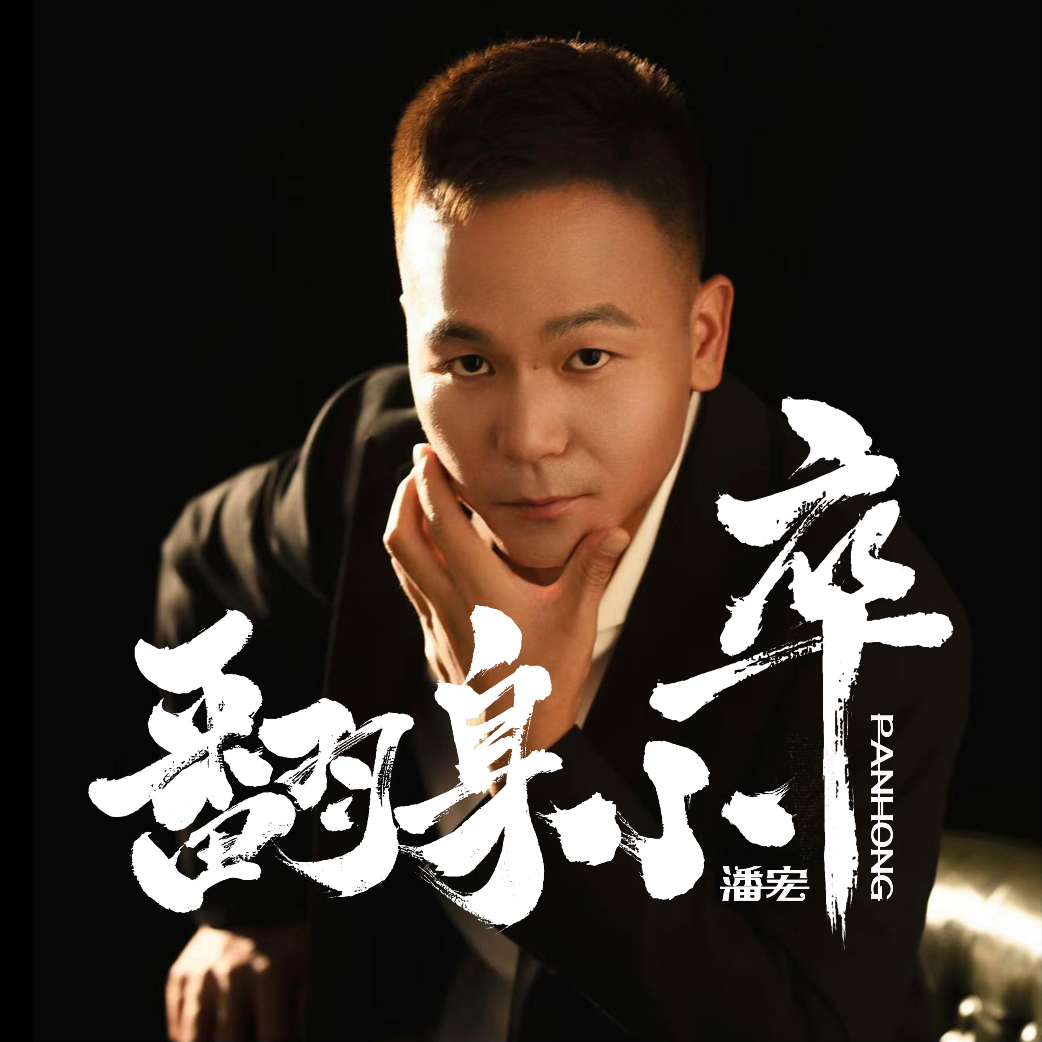 翻身小卒_潘宏_翻身小卒 | 在线播放_翻身小卒歌词_翻身小卒下载 | 网易云音乐