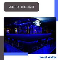 Voice Of The Night