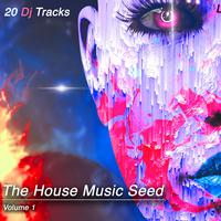 The House Music Seed, Vol. 1 (20 DJ Tracks)