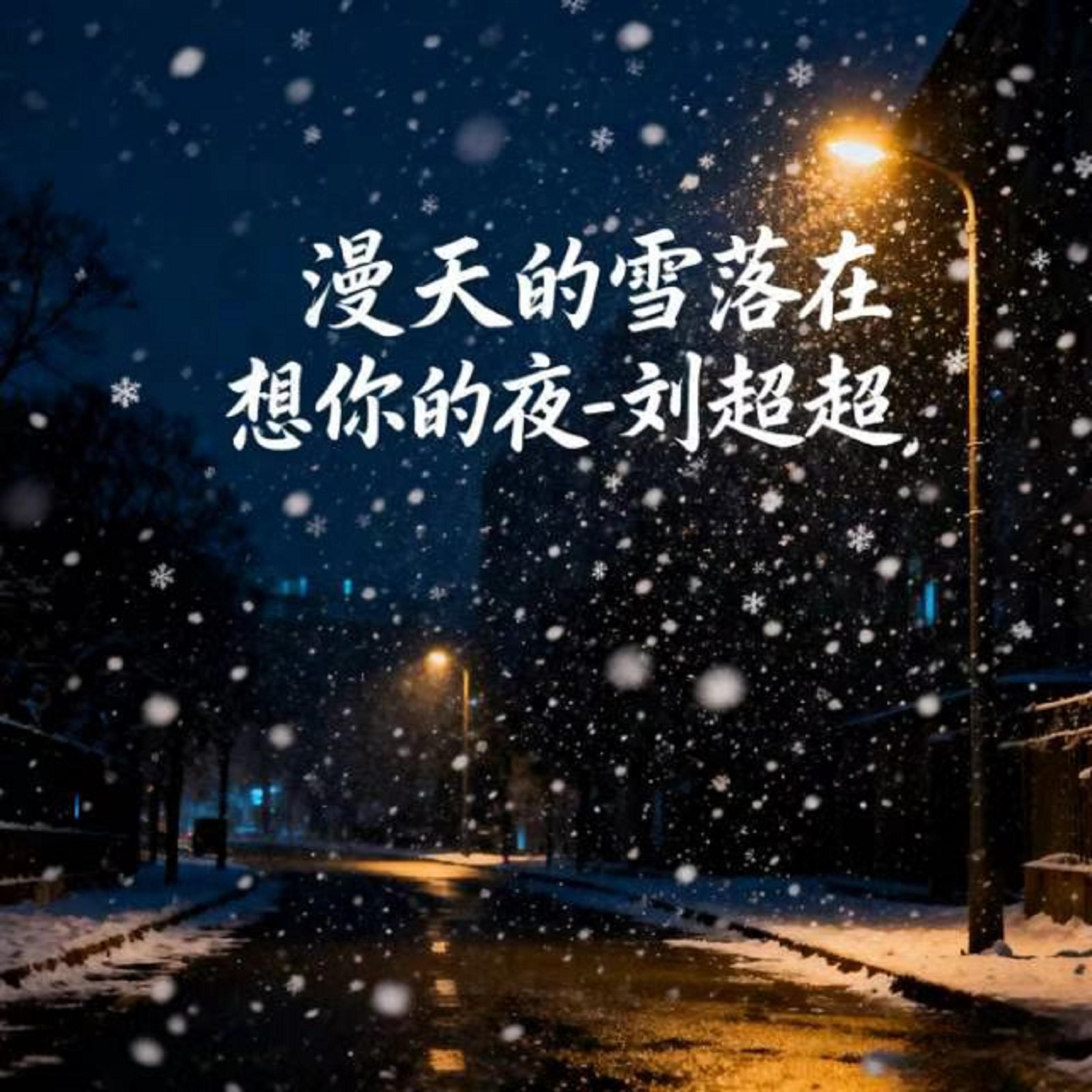 漫天的雪落在想你的夜 (DJ版)封面