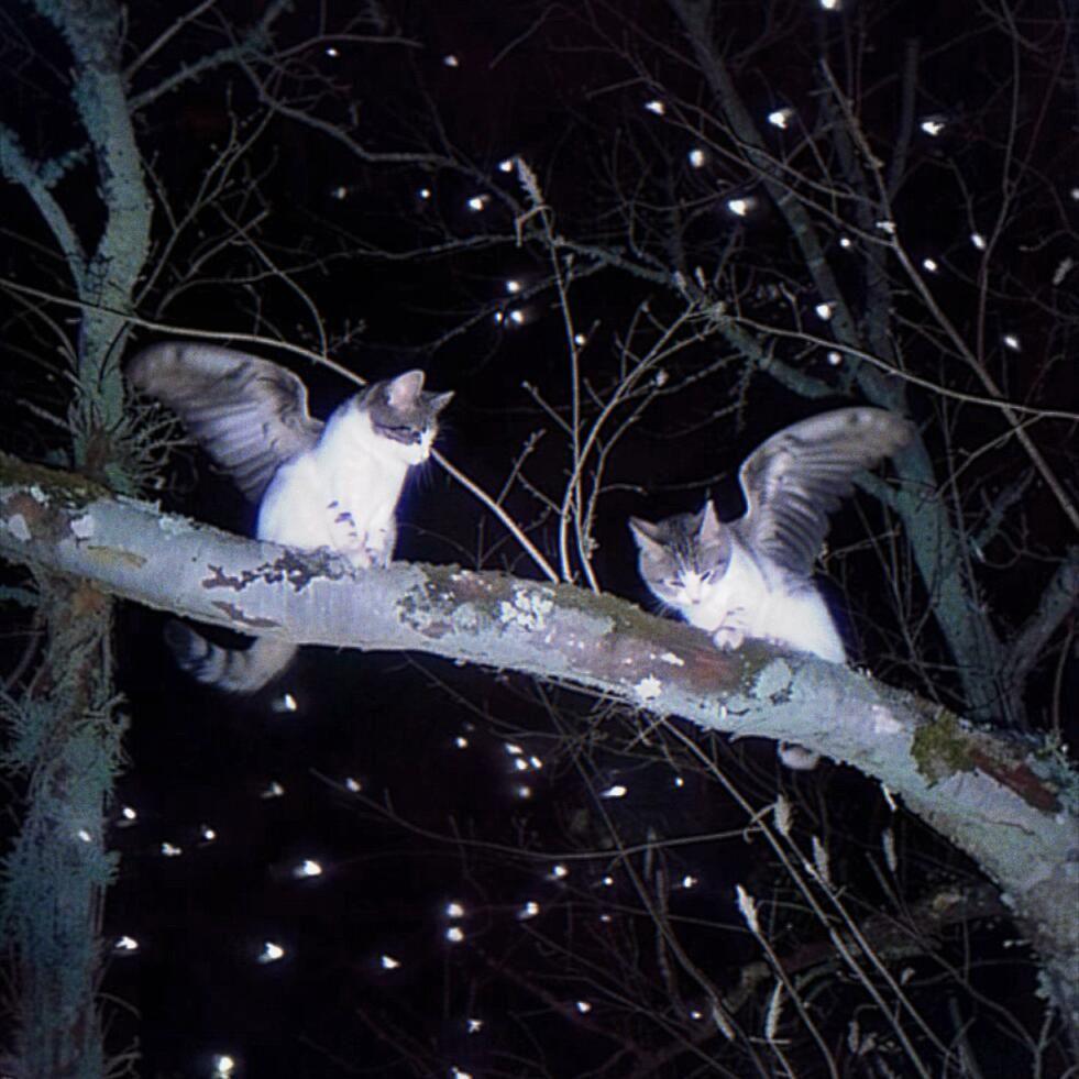 School Rooftop (0.8x)