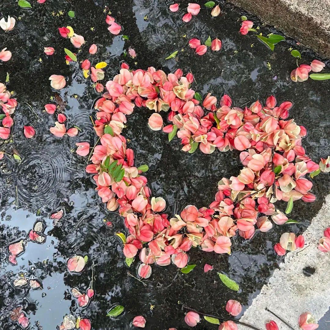 爱多甜蜜 - Rovo.封面