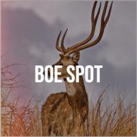 Boe Spot