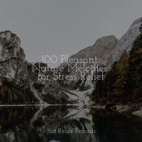 100 Pleasant Nature Melodies for Stress Relief