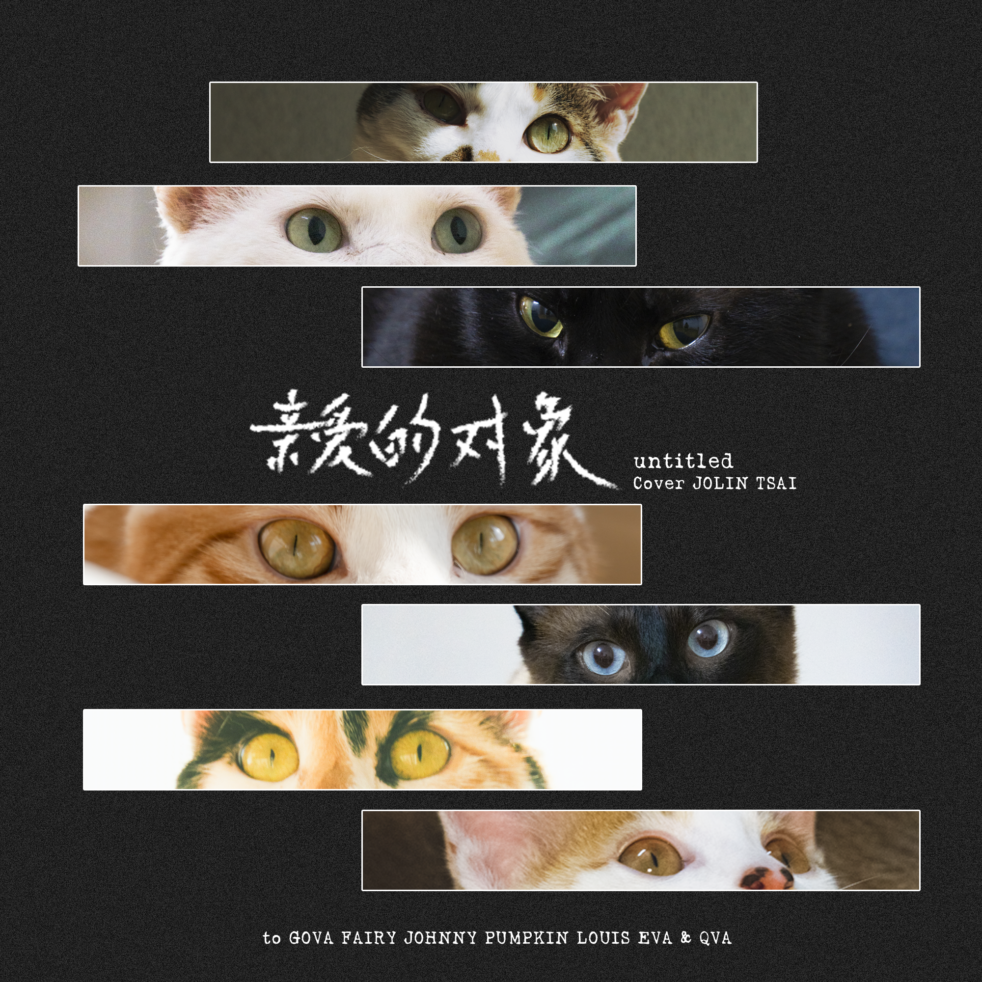 亲爱的对象 (Cover 蔡依林)封面