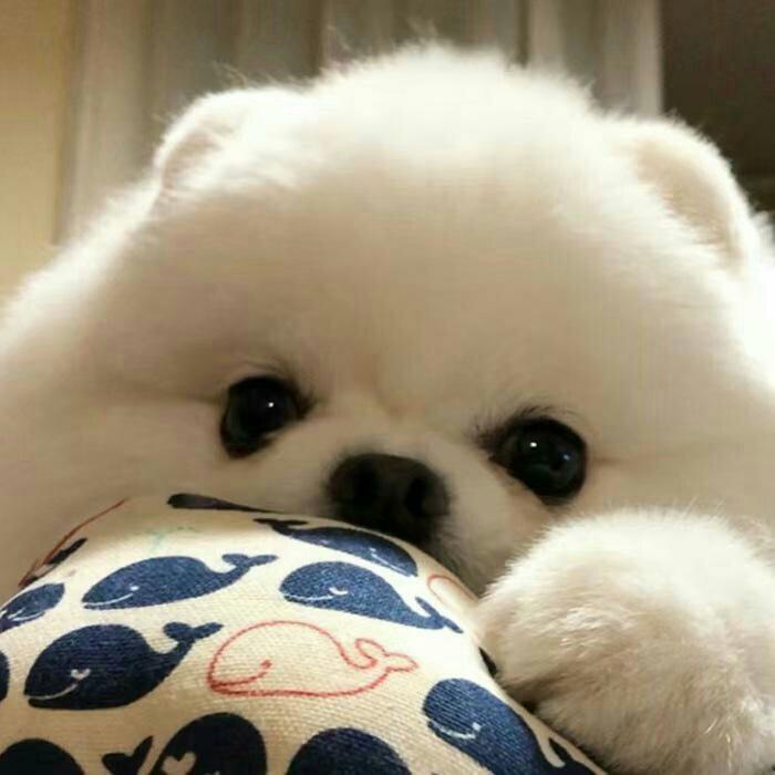 英文，治愈，超好听！[8bite、anson］