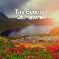 The Beauty of Nature