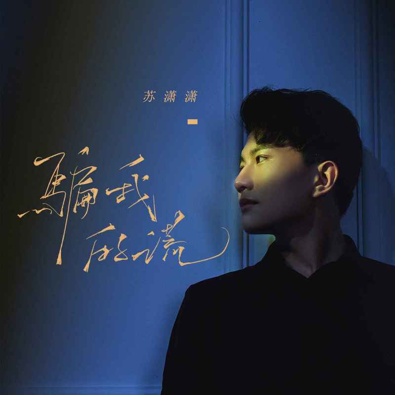妹妹爱我一回 (DJ彭锐版)封面
