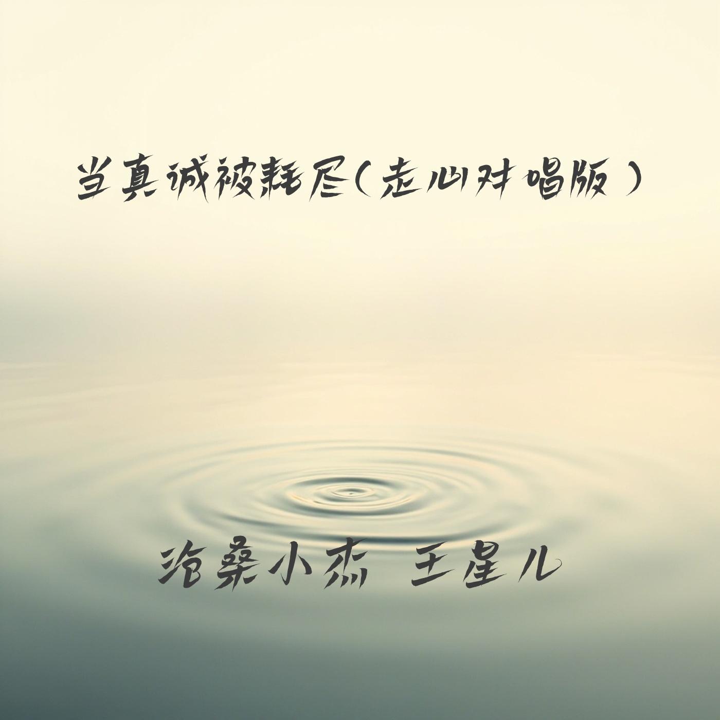 当真诚被耗尽(走心对唱版)封面